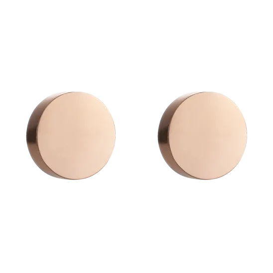 Earrings Round stainless steel rose gold