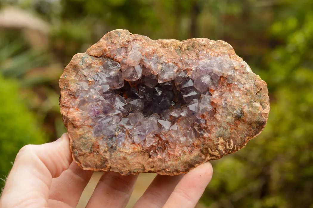 Natural Amethyst & Basalt Geode Specimens x 6 From Zululand, South Africa