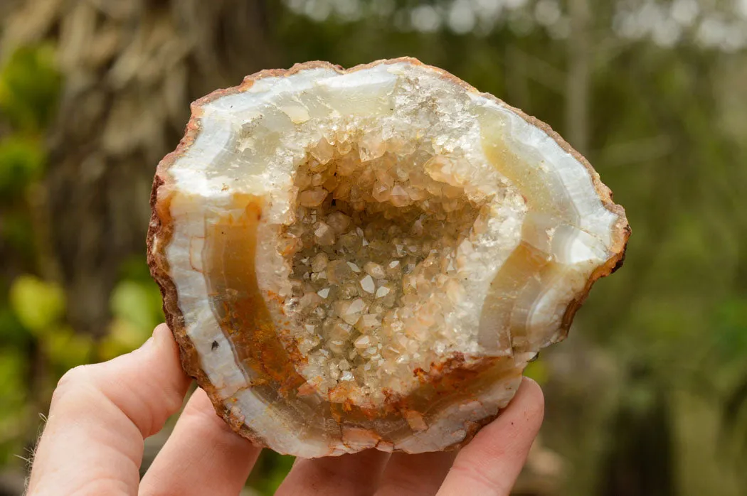 Natural Amethyst & Basalt Geode Specimens x 6 From Zululand, South Africa