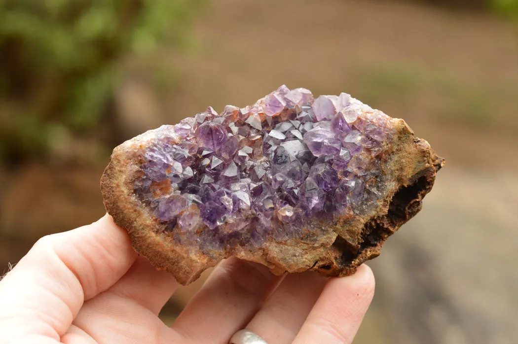 Natural Amethyst & Basalt Geode Specimens x 6 From Zululand, South Africa