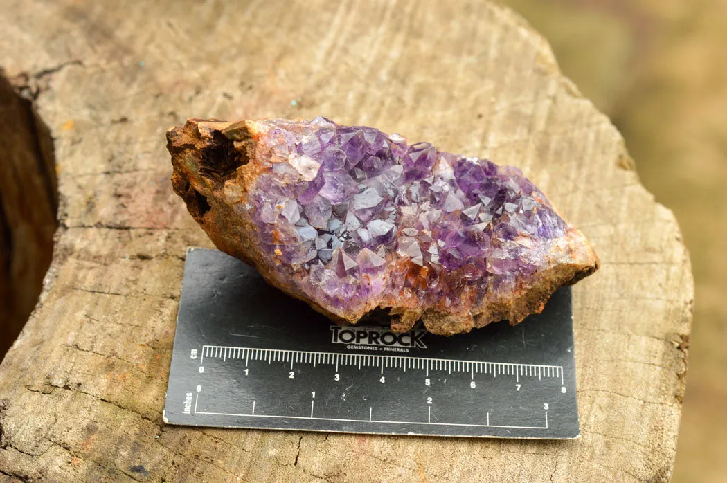 Natural Amethyst & Basalt Geode Specimens x 6 From Zululand, South Africa