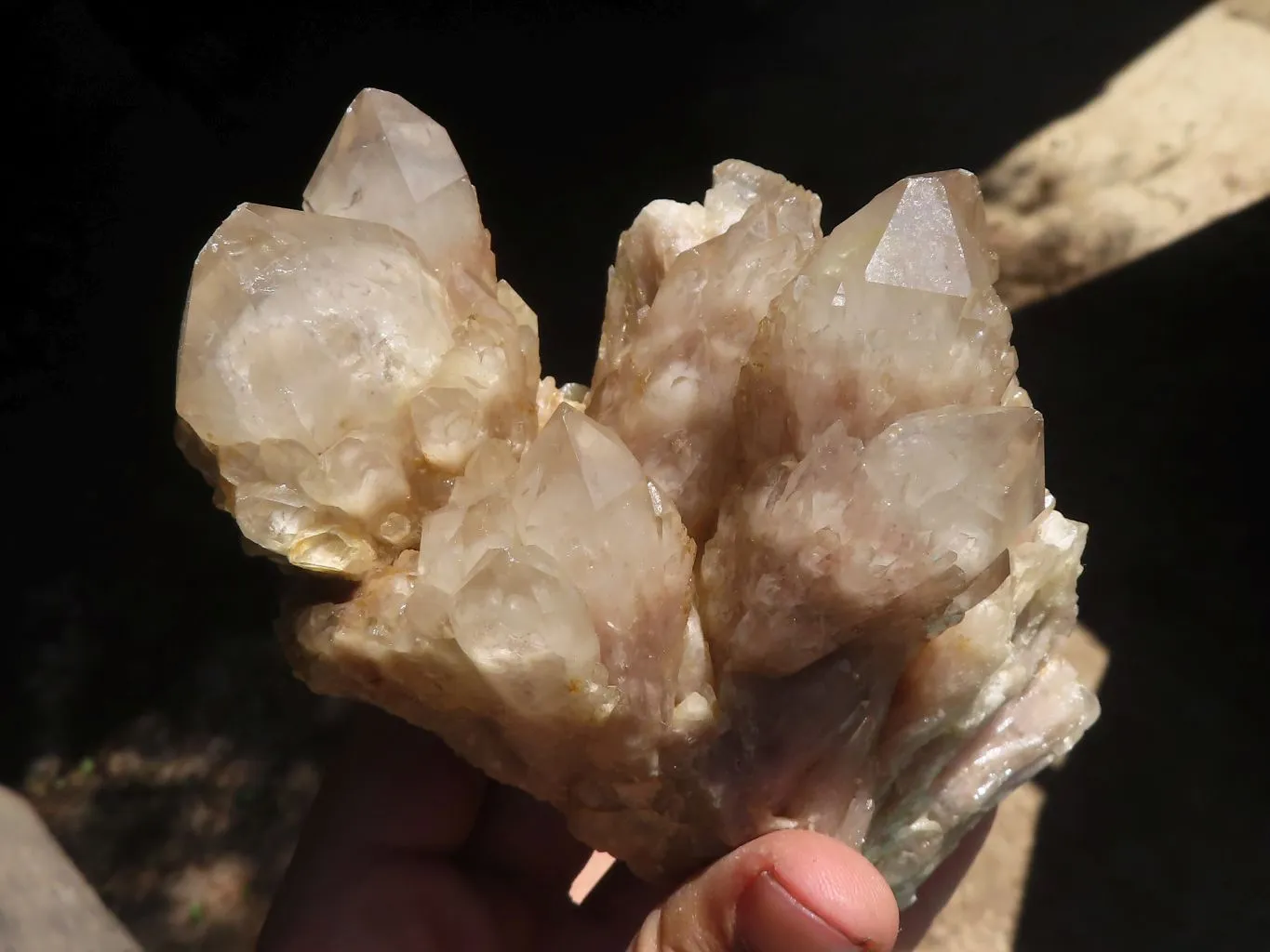 Natural Cascading Smokey White Phantom Quartz Clusters x 2 From Luena, Congo