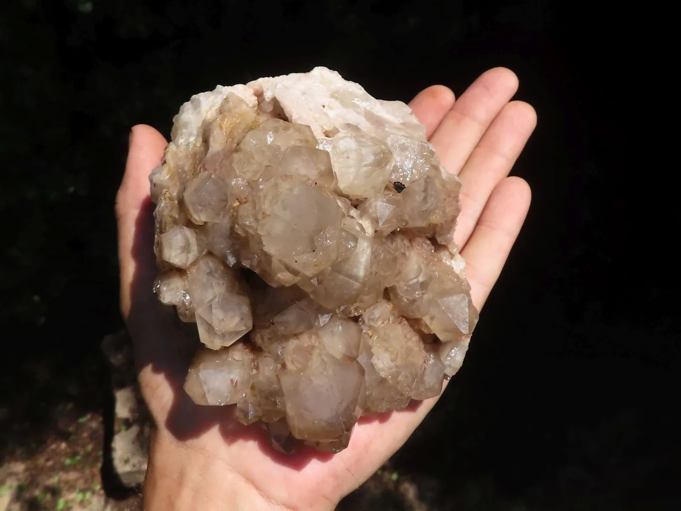 Natural Cascading Smokey White Phantom Quartz Clusters x 2 From Luena, Congo