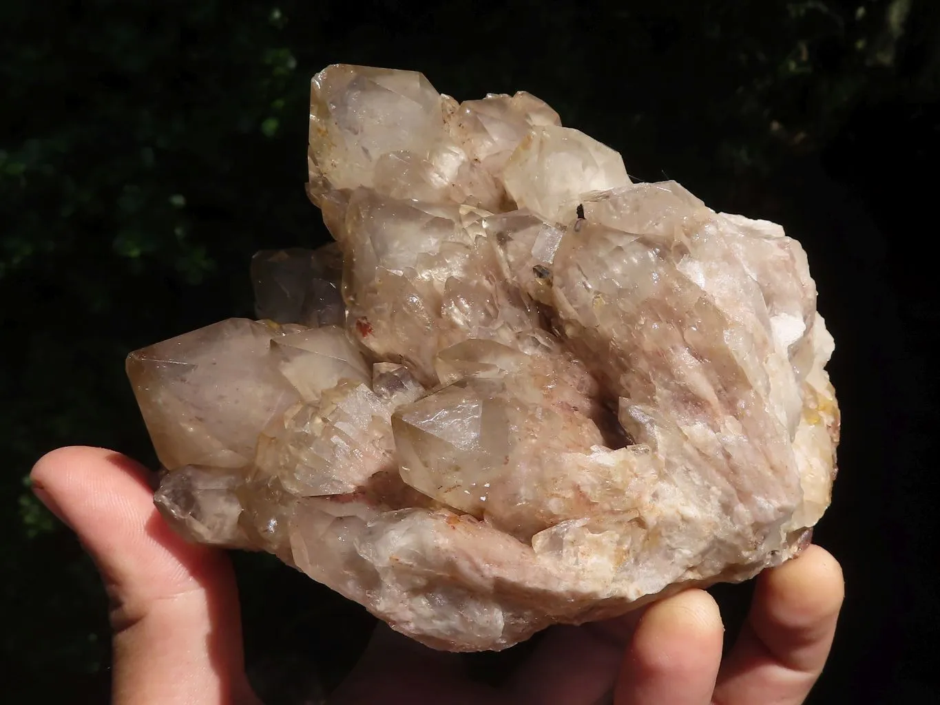 Natural Cascading Smokey White Phantom Quartz Clusters x 2 From Luena, Congo