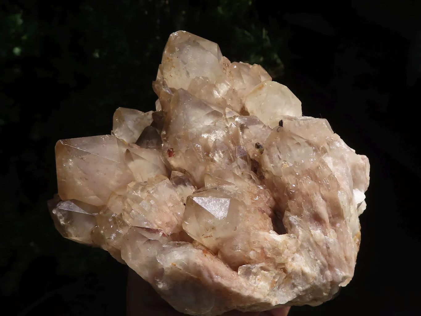 Natural Cascading Smokey White Phantom Quartz Clusters x 2 From Luena, Congo