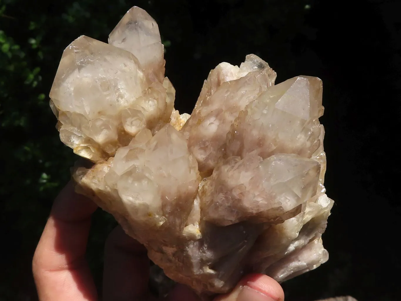 Natural Cascading Smokey White Phantom Quartz Clusters x 2 From Luena, Congo