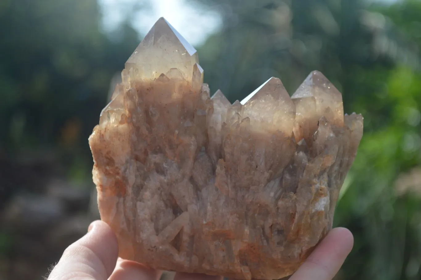 Natural Cascading White Phantom Smokey Quartz Clusters x 3 From Luena, Congo