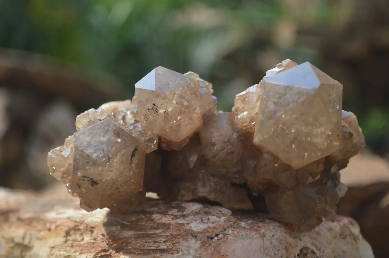 Natural Cascading White Phantom Smokey Quartz Clusters x 3 From Luena, Congo