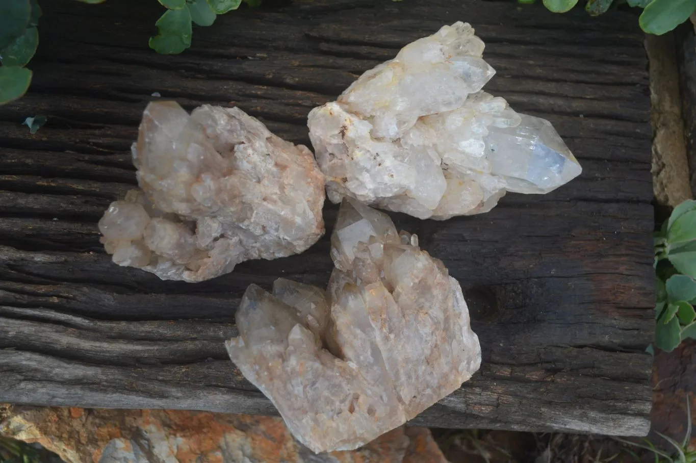 Natural Cascading White Phantom Smokey Quartz Clusters x 3 From Luena, Congo