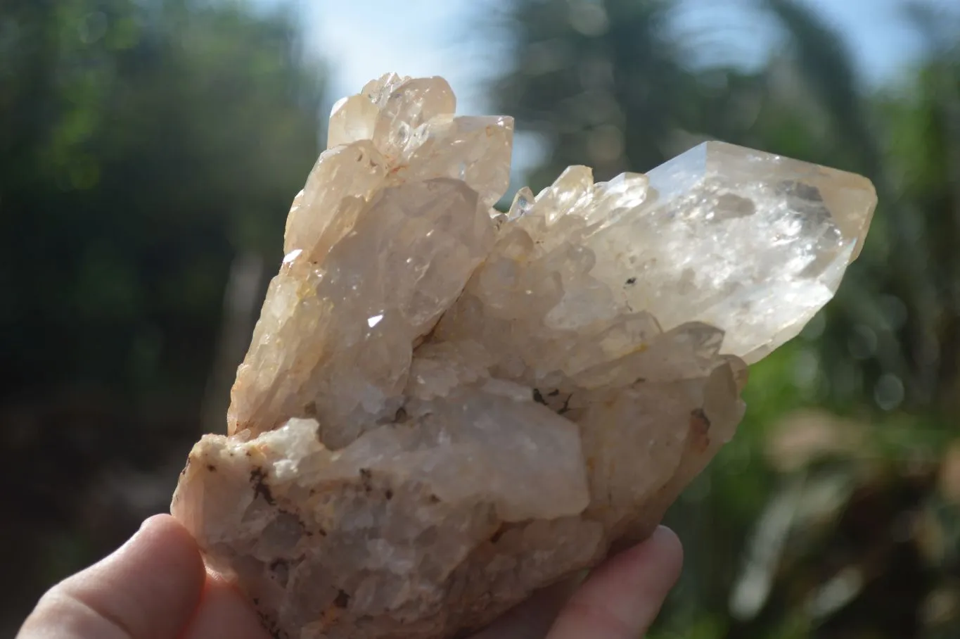 Natural Cascading White Phantom Smokey Quartz Clusters x 3 From Luena, Congo