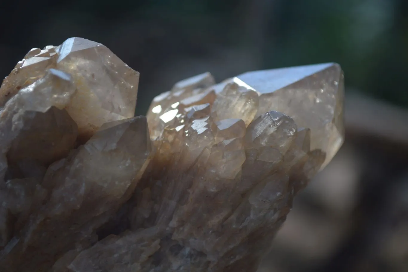 Natural Cascading White Phantom Smokey Quartz Clusters x 3 From Luena, Congo