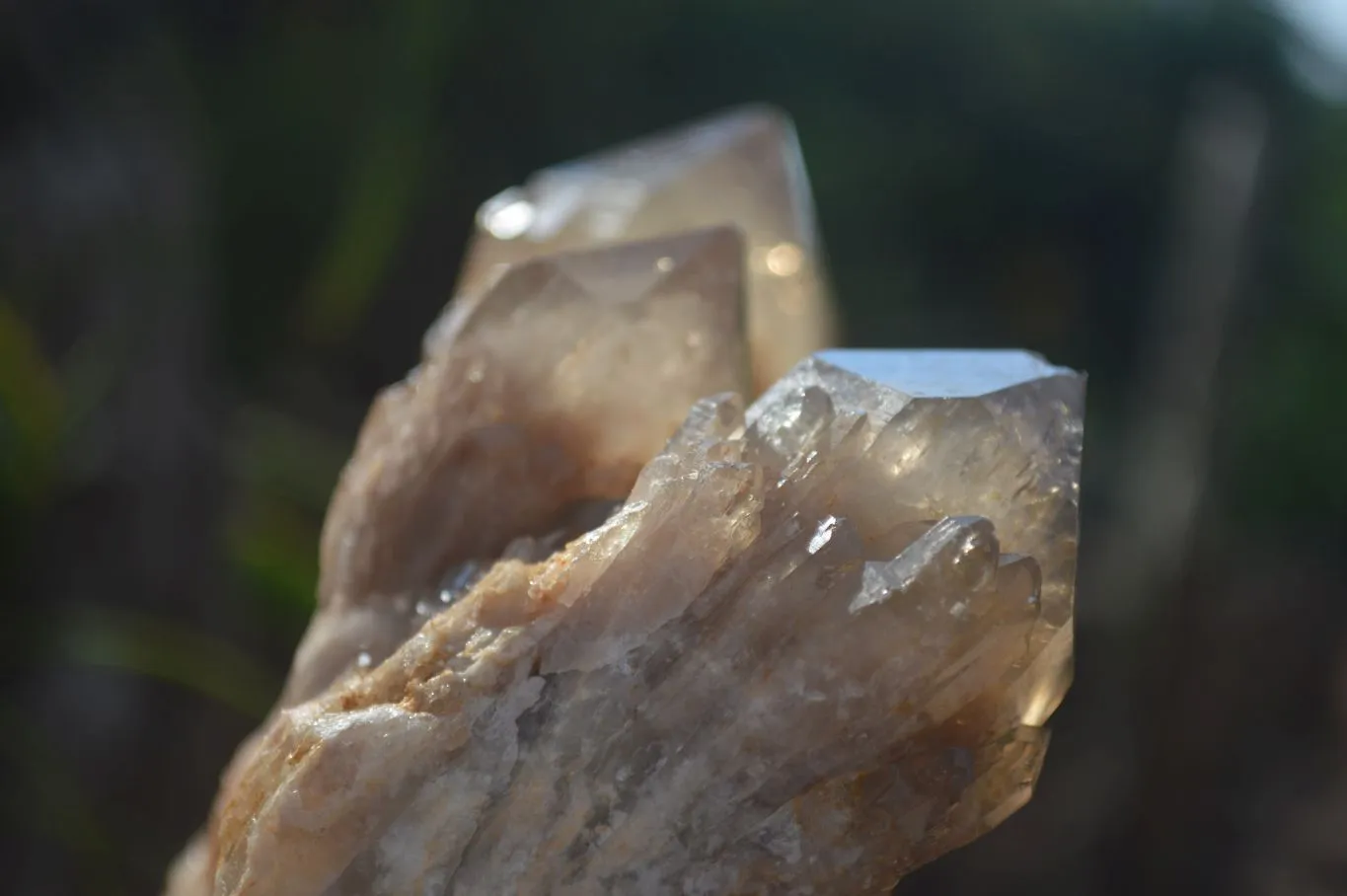 Natural Cascading White Phantom Smokey Quartz Clusters x 3 From Luena, Congo