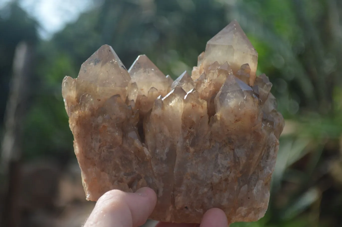 Natural Cascading White Phantom Smokey Quartz Clusters x 3 From Luena, Congo