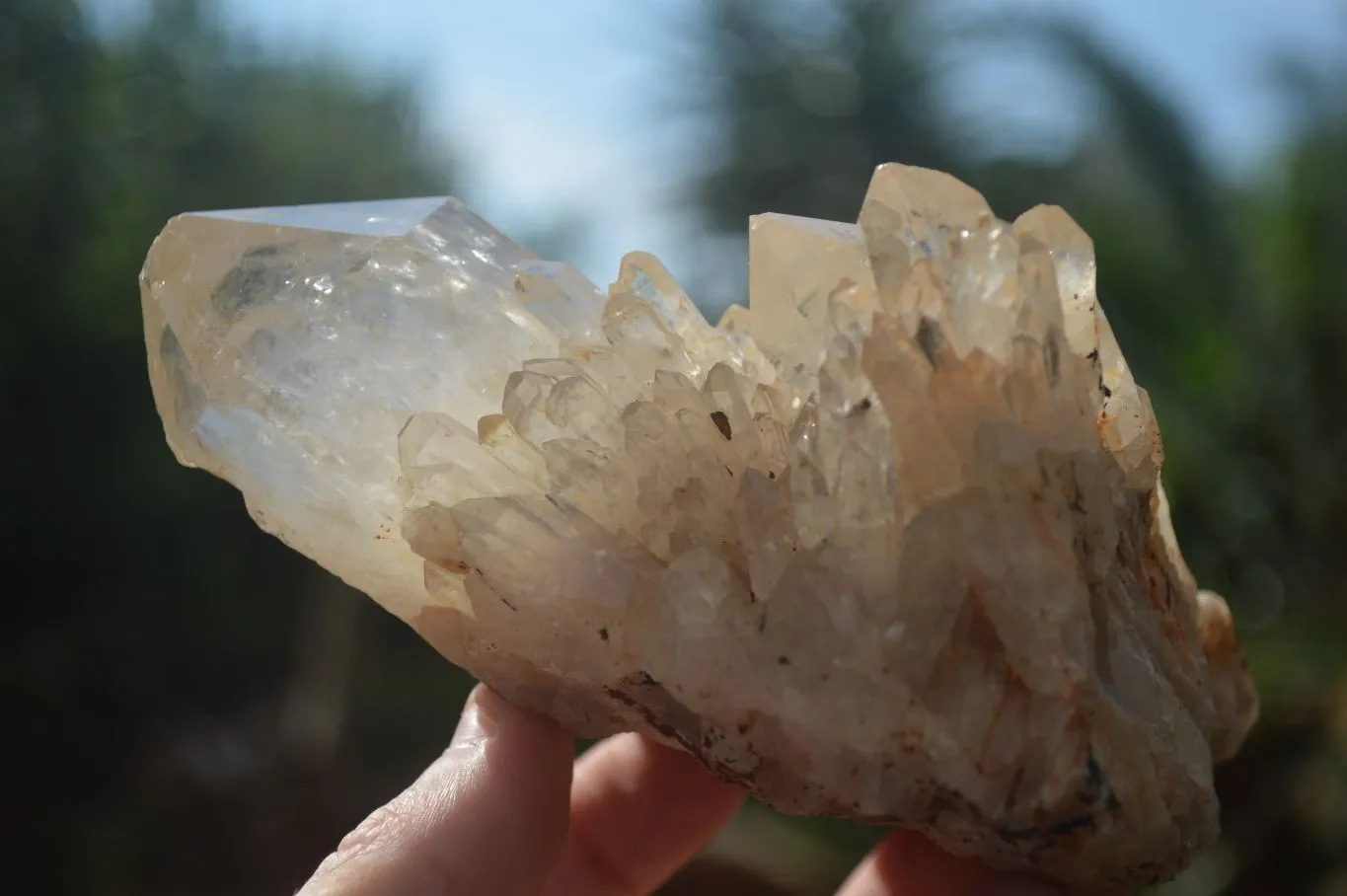 Natural Cascading White Phantom Smokey Quartz Clusters x 3 From Luena, Congo