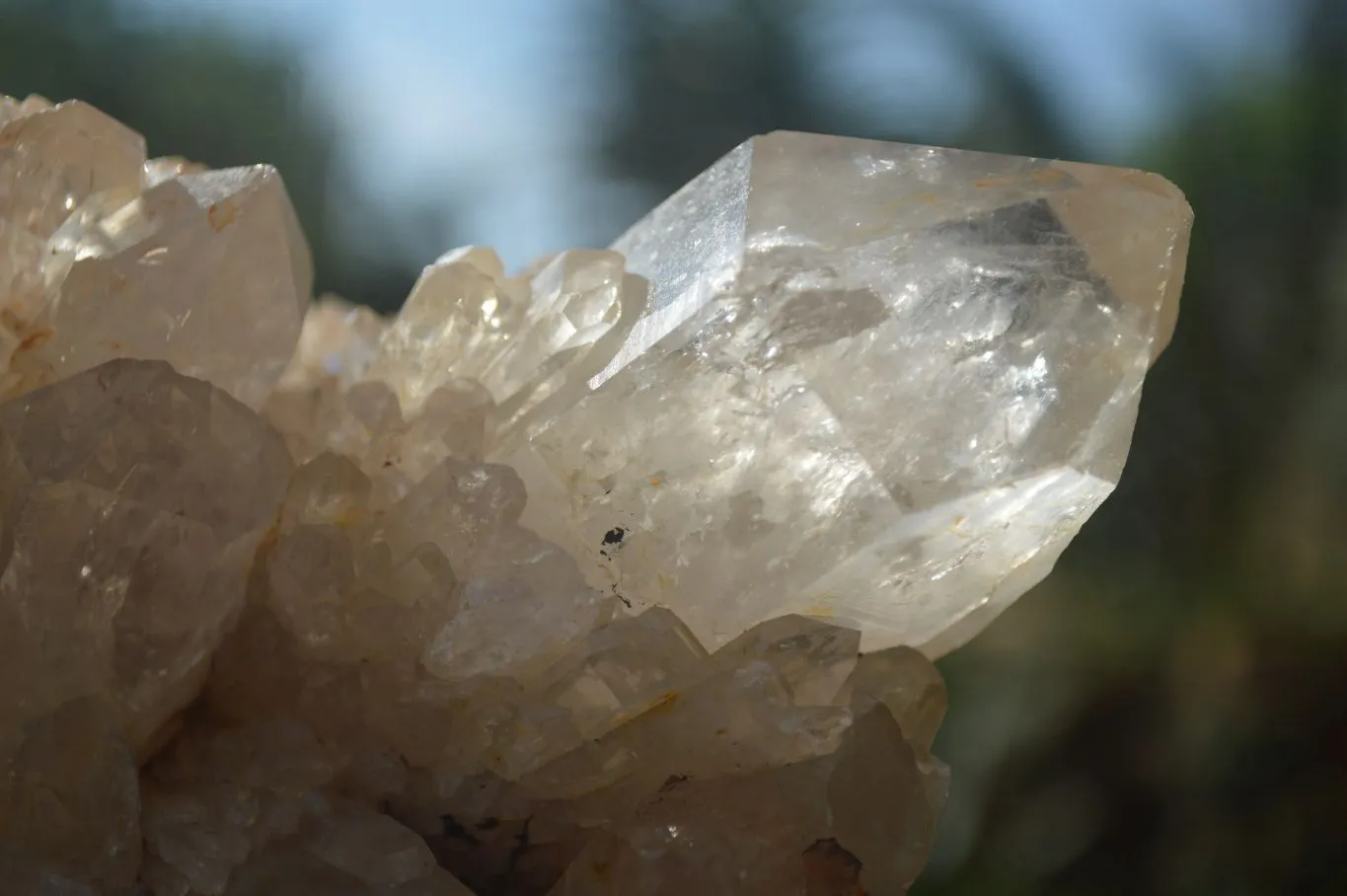 Natural Cascading White Phantom Smokey Quartz Clusters x 3 From Luena, Congo