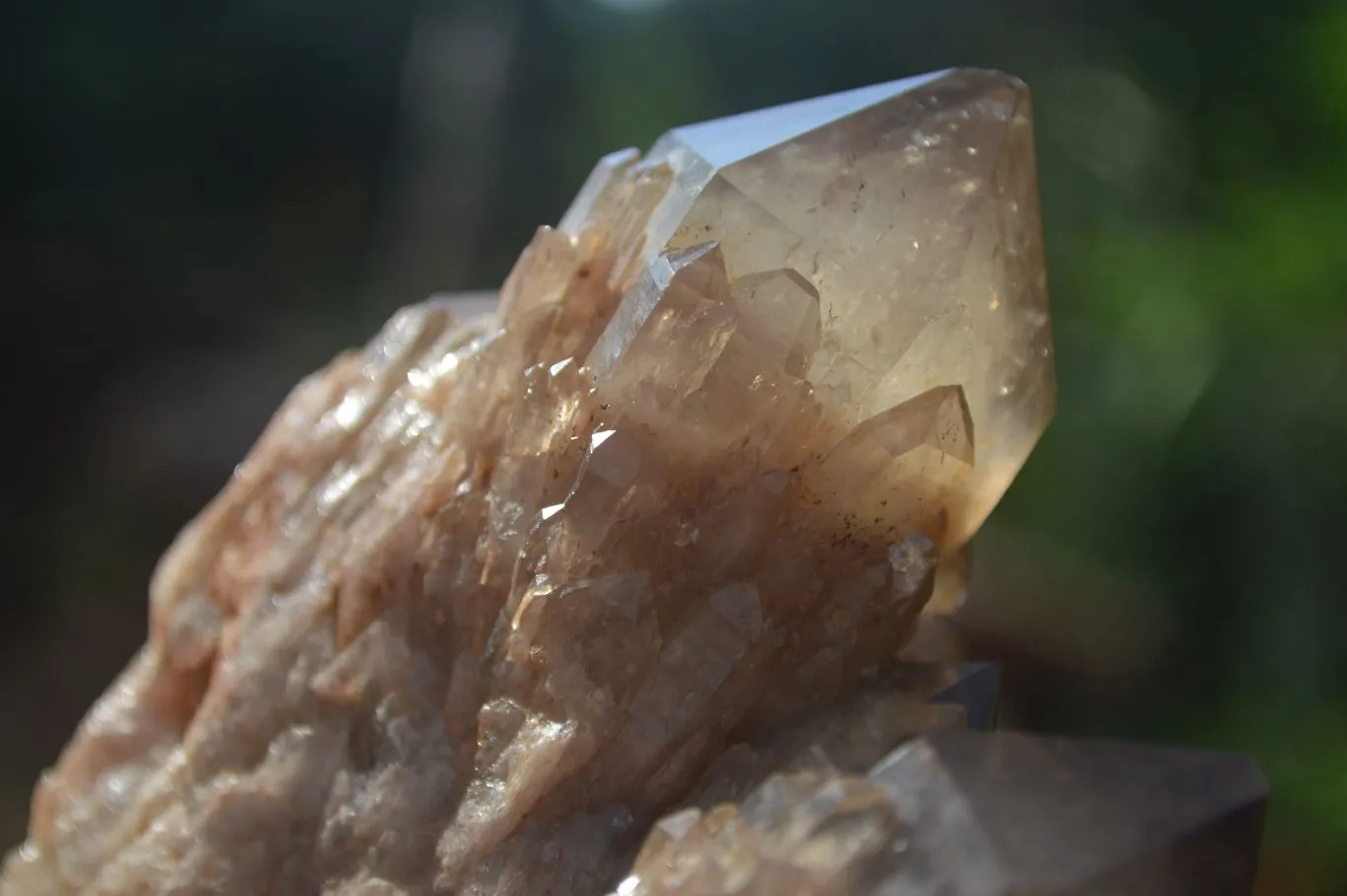 Natural Cascading White Phantom Smokey Quartz Clusters x 3 From Luena, Congo