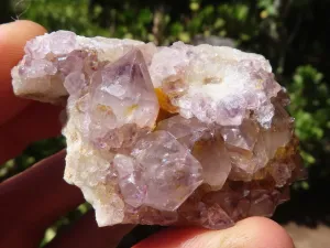 Natural Lovely Mixed Selection Of Spirit Quartz Clusters x 24 From Boekenhouthoek, South Africa