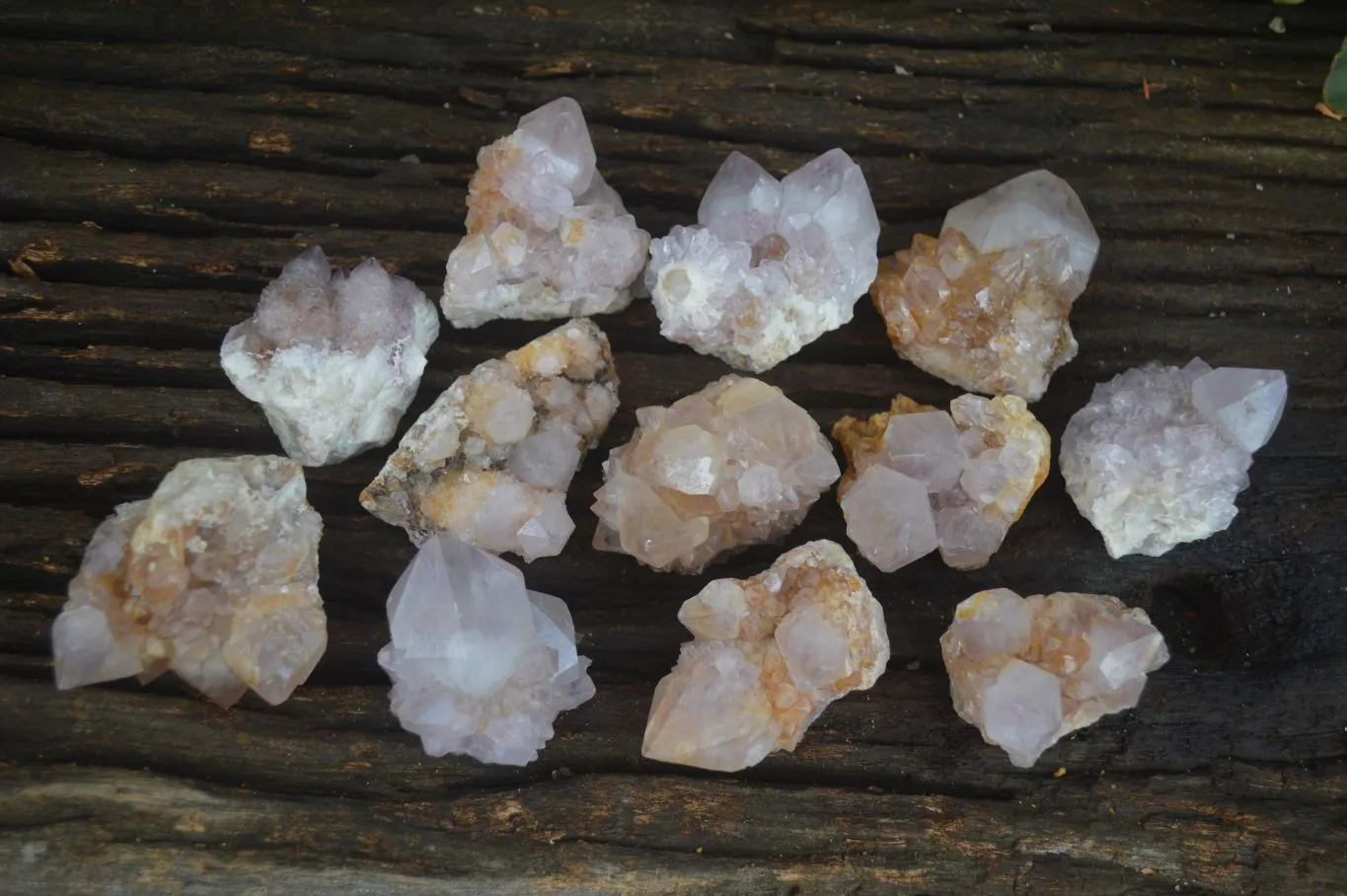 Natural Small Spirit Ametrine Quartz Clusters x 12 From Boekenhouthoek, South Africa