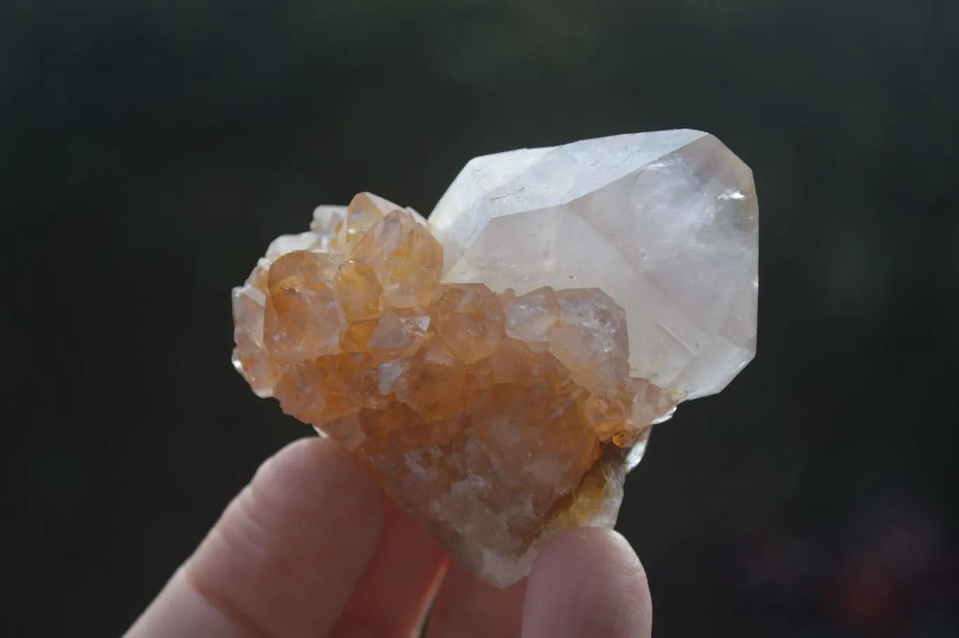 Natural Small Spirit Ametrine Quartz Clusters x 12 From Boekenhouthoek, South Africa