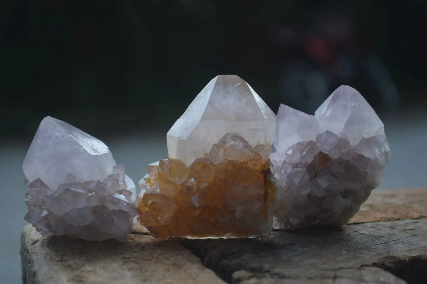 Natural Small Spirit Ametrine Quartz Clusters x 12 From Boekenhouthoek, South Africa