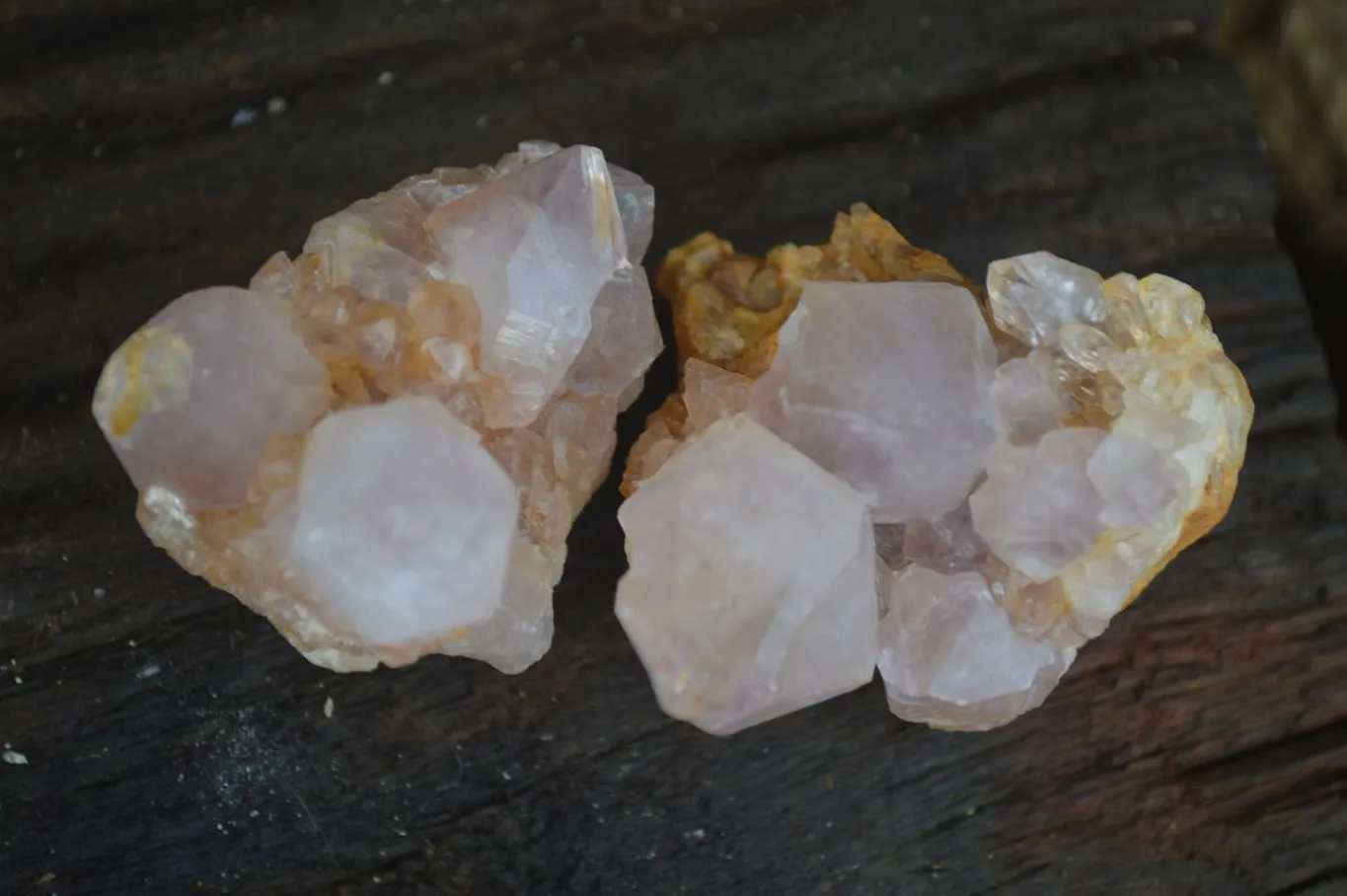 Natural Small Spirit Ametrine Quartz Clusters x 12 From Boekenhouthoek, South Africa