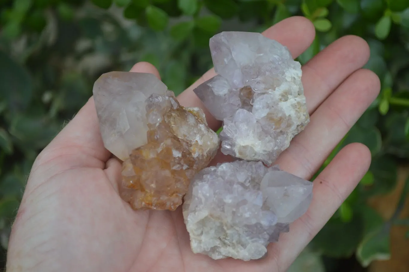 Natural Small Spirit Ametrine Quartz Clusters x 12 From Boekenhouthoek, South Africa