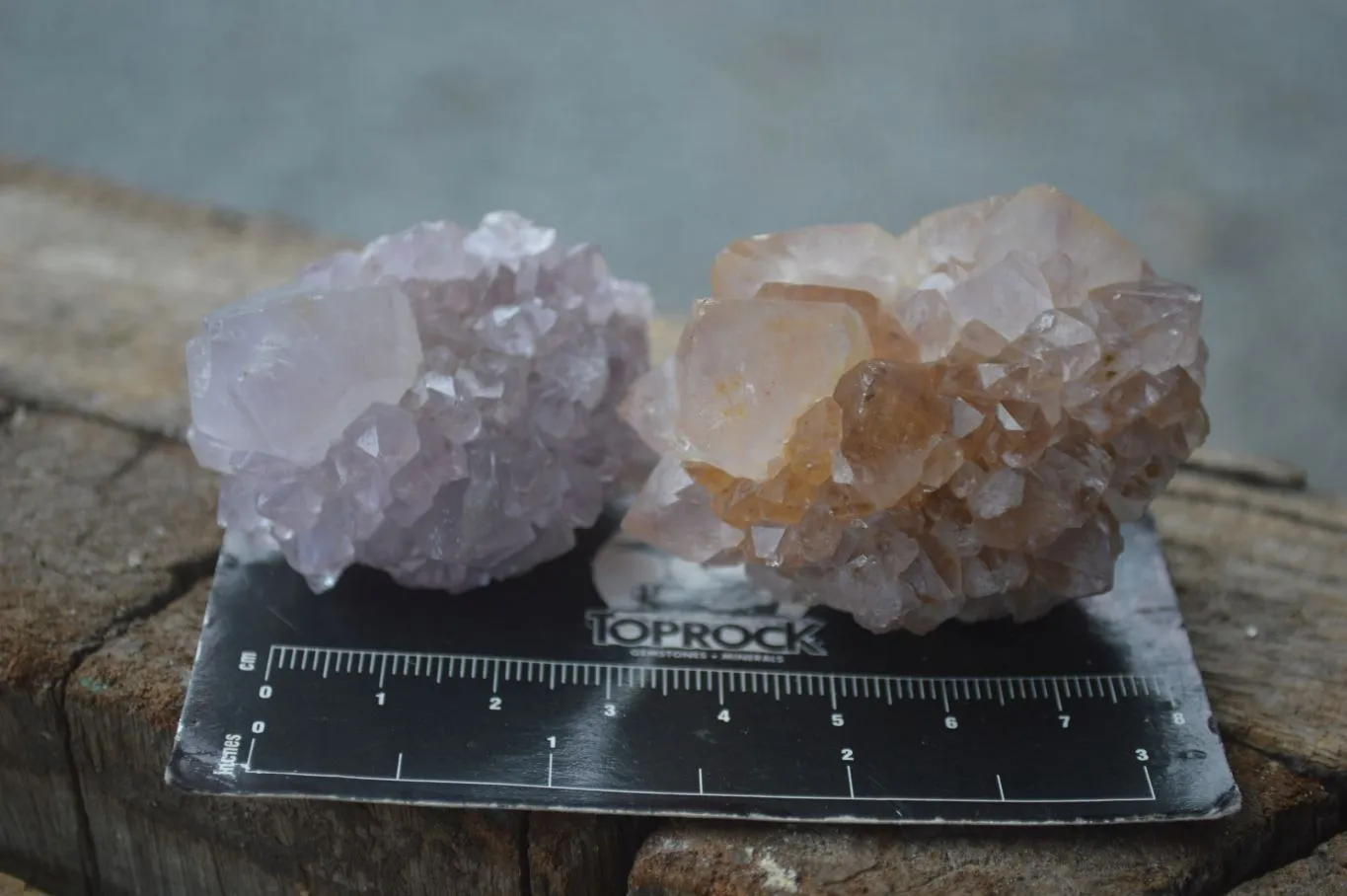 Natural Small Spirit Ametrine Quartz Clusters x 12 From Boekenhouthoek, South Africa