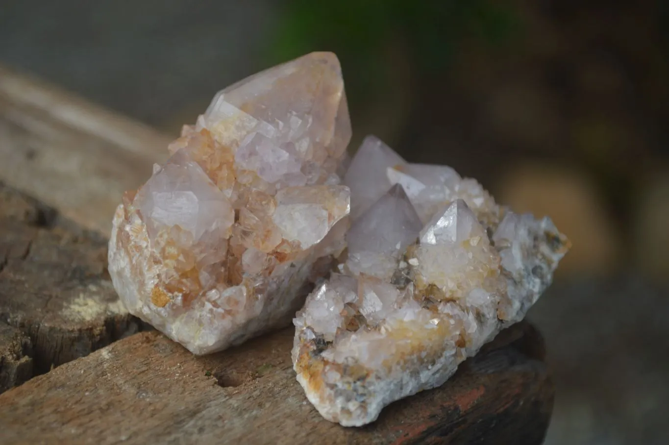 Natural Small Spirit Ametrine Quartz Clusters x 12 From Boekenhouthoek, South Africa