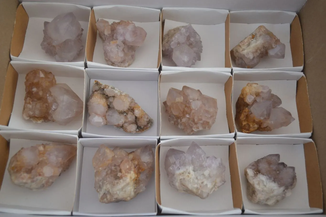 Natural Small Spirit Ametrine Quartz Clusters x 12 From Boekenhouthoek, South Africa