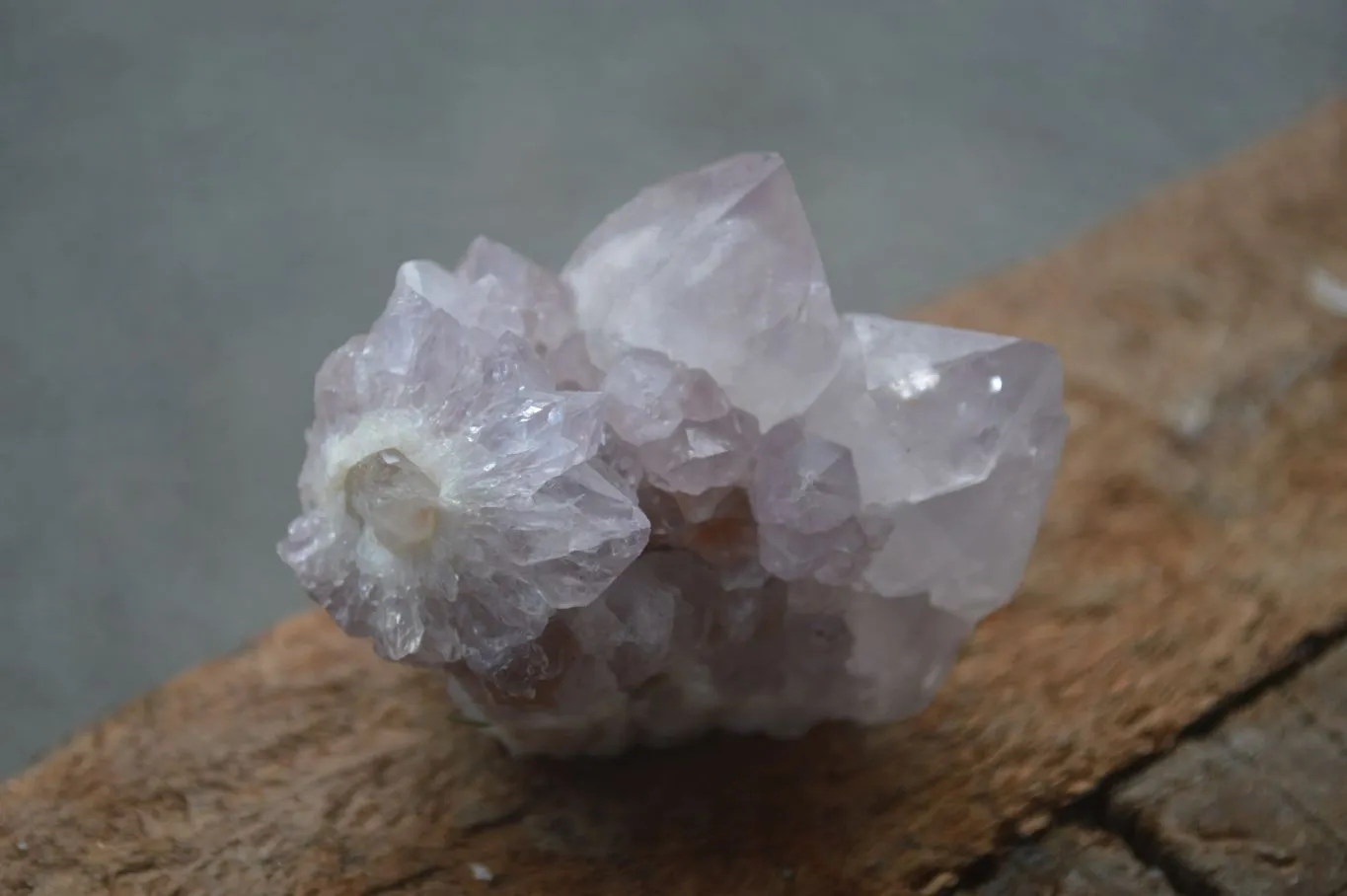 Natural Small Spirit Ametrine Quartz Clusters x 12 From Boekenhouthoek, South Africa