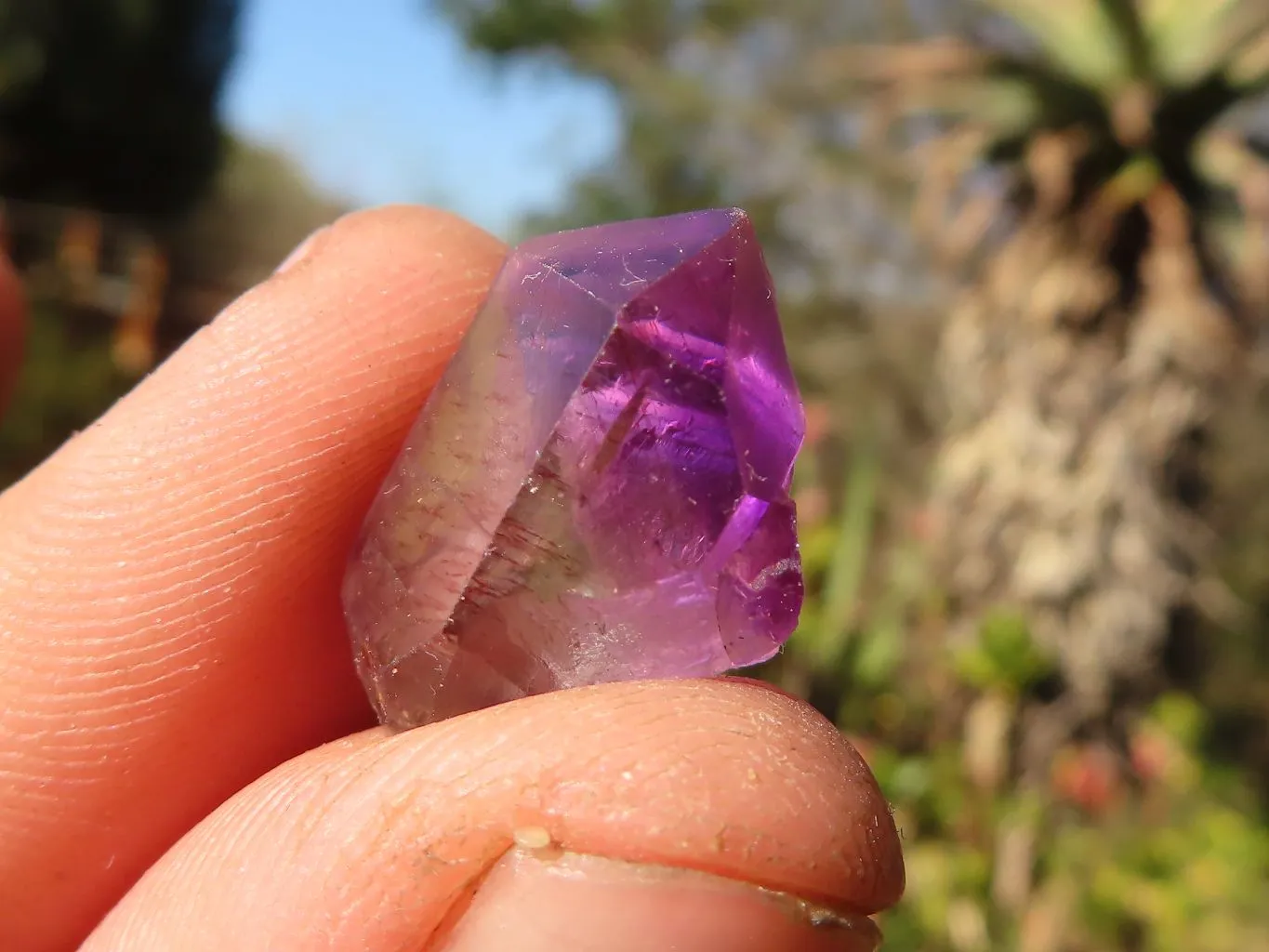 Natural Smokey Chiredzi Amethyst Crystals & Double Terminated Scepters x 12 From Chiredzi, Zimbabwe