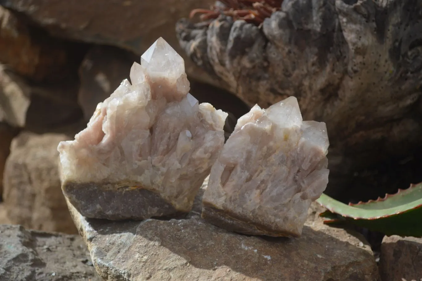 Natural Smokey Quartz Clusters x 2 From Luena, Congo