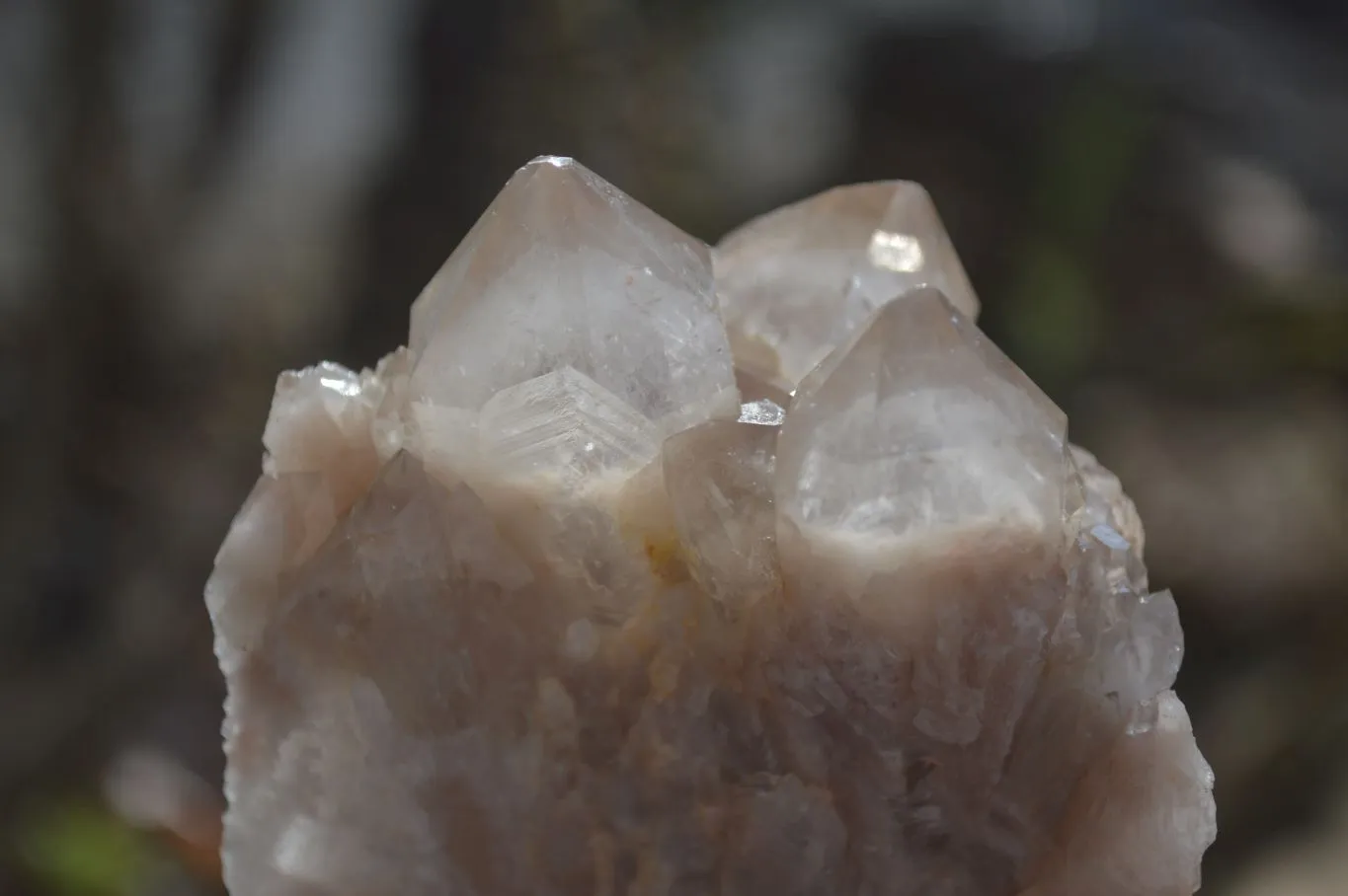 Natural Smokey Quartz Clusters x 2 From Luena, Congo