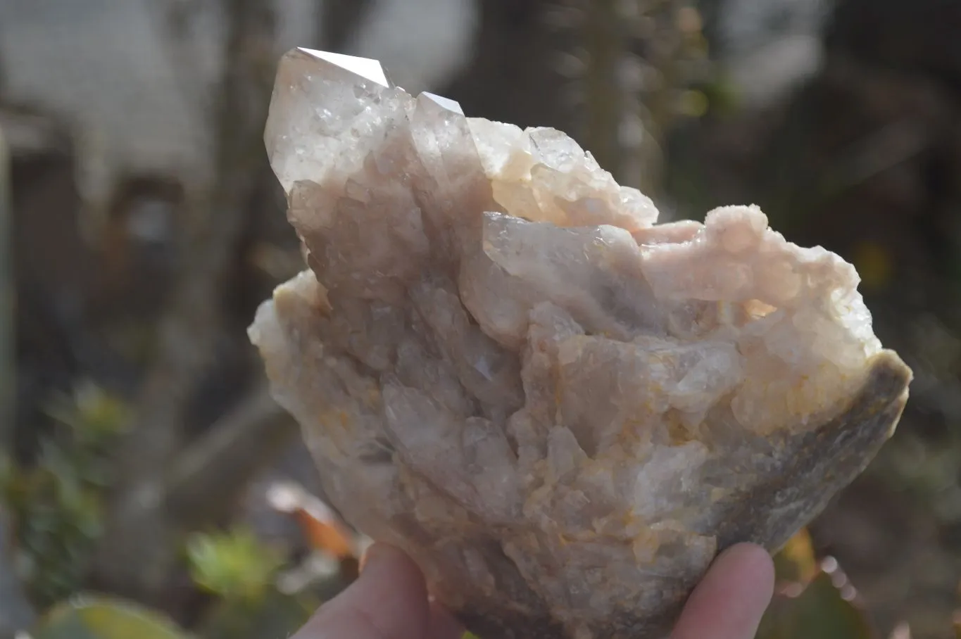 Natural Smokey Quartz Clusters x 2 From Luena, Congo