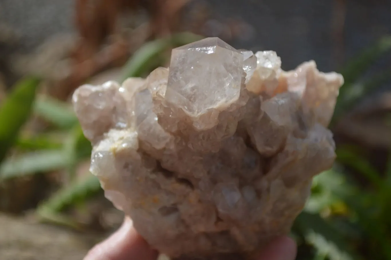 Natural Smokey Quartz Clusters x 2 From Luena, Congo