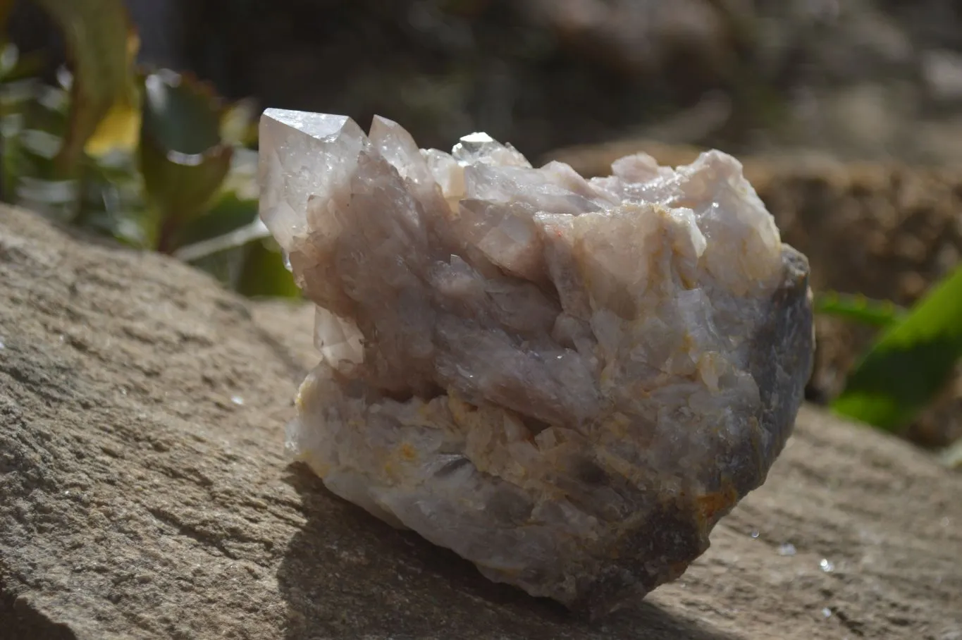 Natural Smokey Quartz Clusters x 2 From Luena, Congo