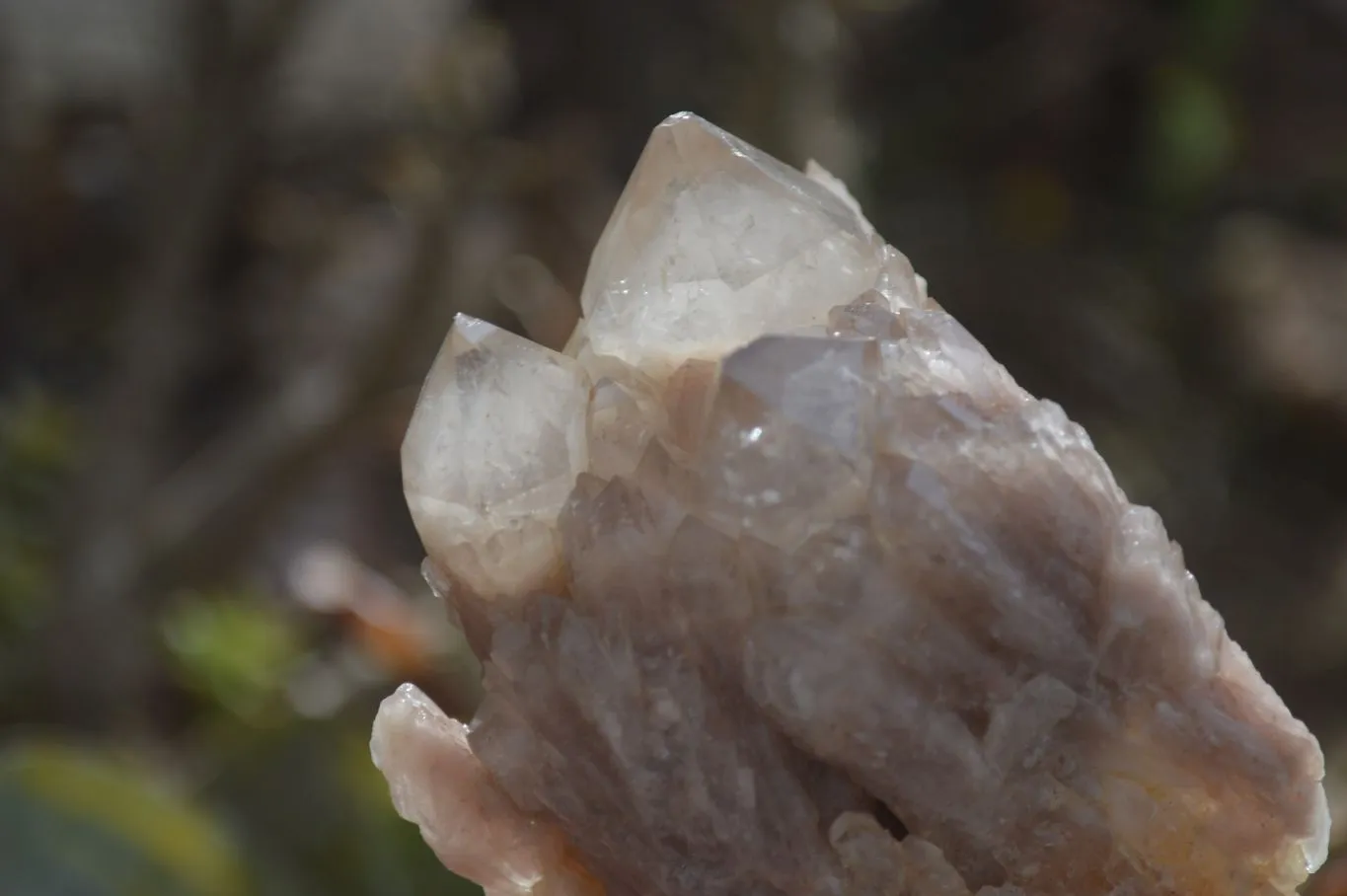 Natural Smokey Quartz Clusters x 2 From Luena, Congo