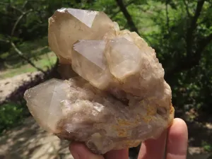 Natural Smokey White Phantom Quartz Clusters x 3 From Luena, Congo