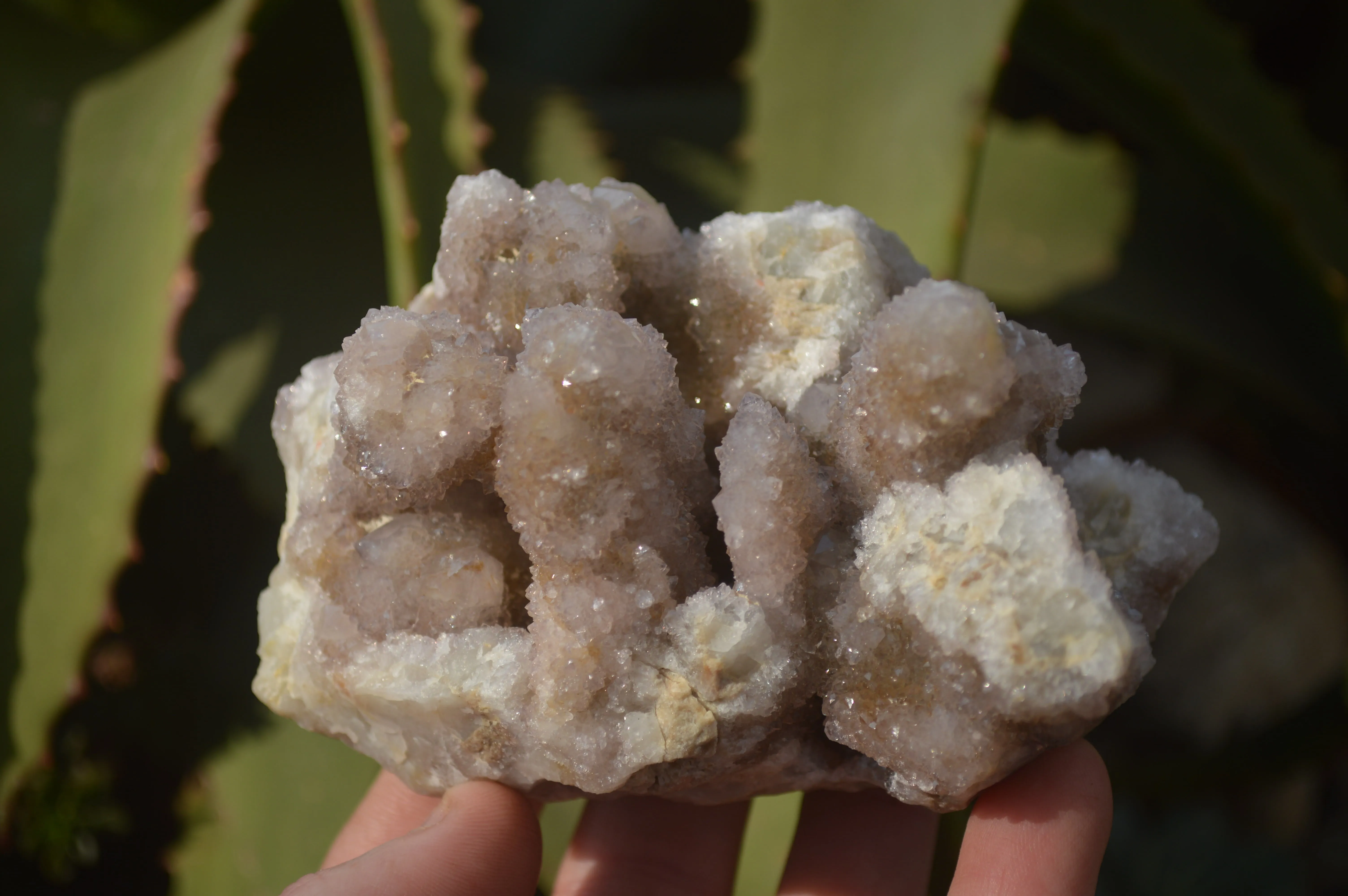 Natural Spirit Amethyst Quartz Clusters x 4 From Southern Africa