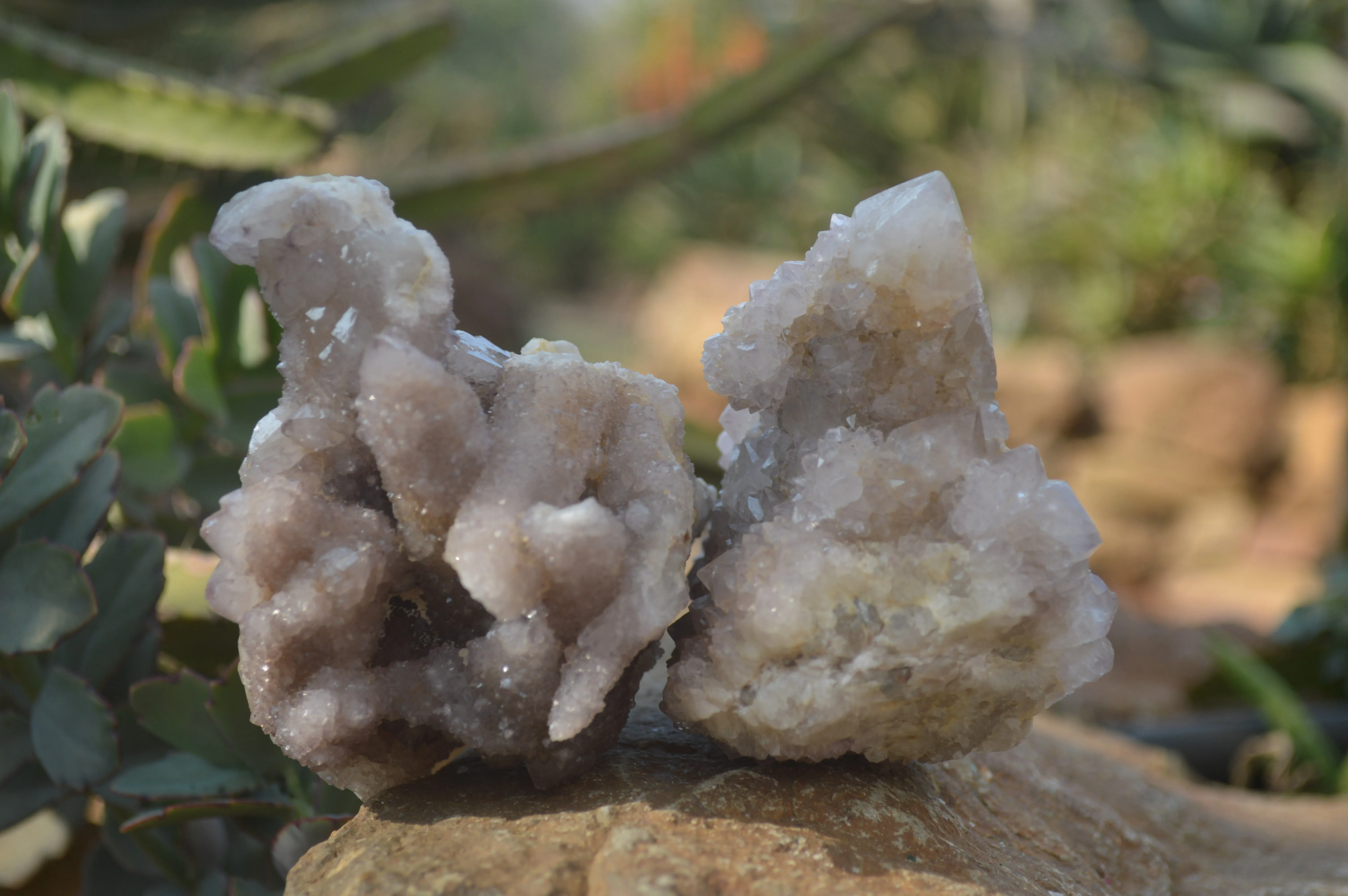 Natural Spirit Amethyst Quartz Clusters x 4 From Southern Africa