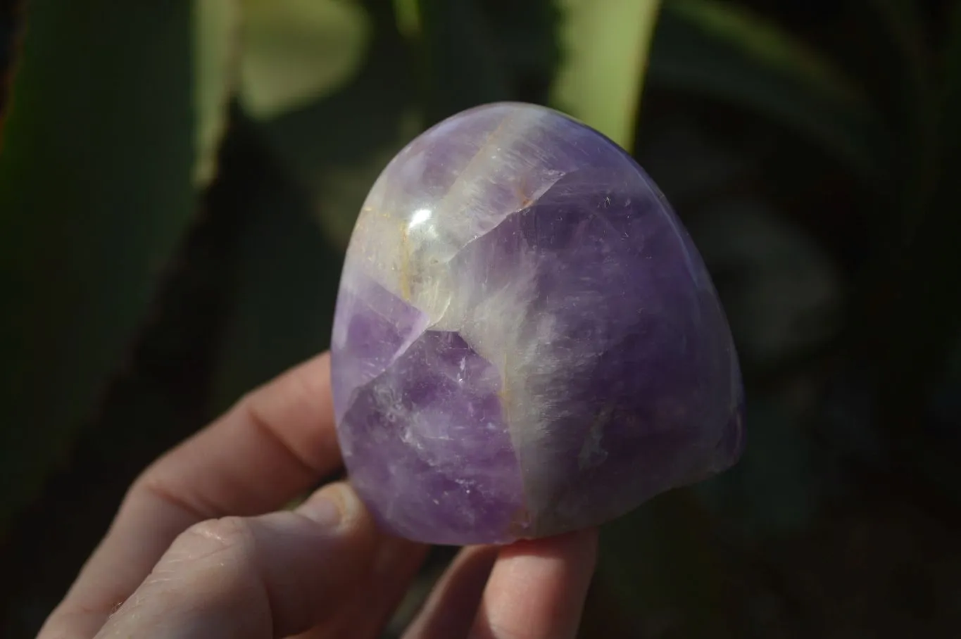 Polished Dream Amethyst Standing Free Forms x 6 From Madagascar