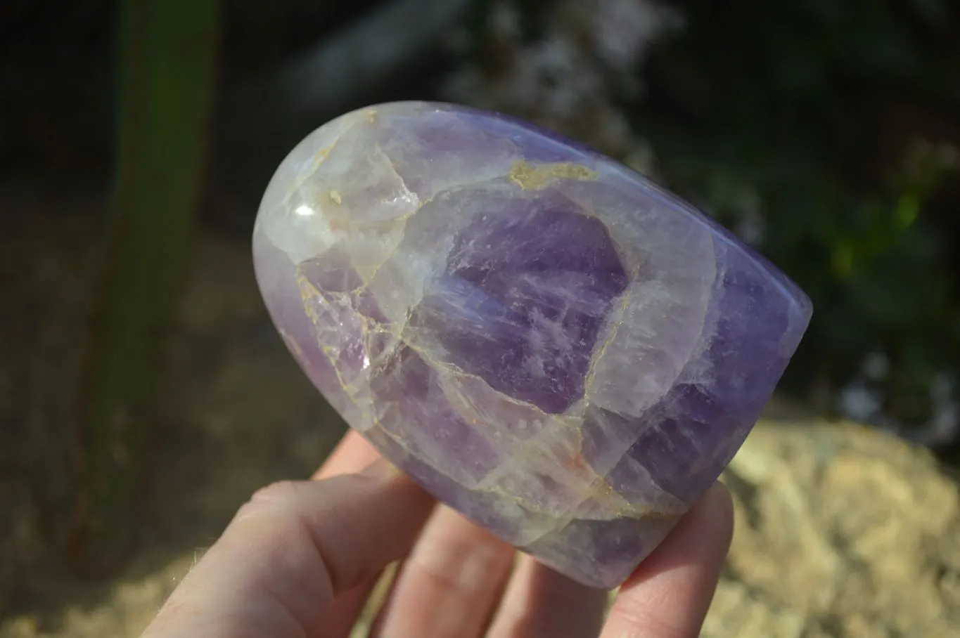 Polished Dream Amethyst Standing Free Forms x 6 From Madagascar