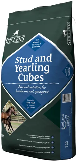 Spillers Stud & Yearling Cubes 20kg