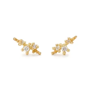 White Diamond Encrusted Studs